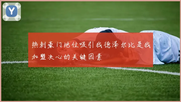 热刺豪门地位吸引我德泽尔比是我加盟决心的关键因素