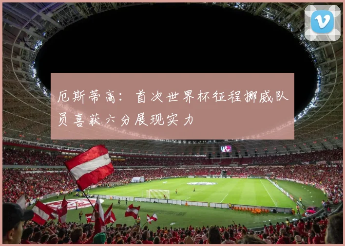 厄斯蒂高：首次世界杯征程挪威队员喜获六分展现实力